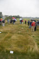 Turf grass research on St. Paul Campus, University of Minnesota.