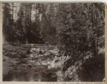View of a small river rapid from downstream