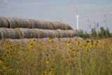 Biomass and wind power, alternative energy research at the University of Minnesota, West Central Research and Outreach Center, Morris.