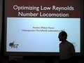 Optimizing Locomotion