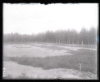 Experimental Forestry Nursery