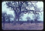 Kruger National Park