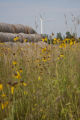 Biomass and wind power, alternative energy research at the University of Minnesota, West Central Research and Outreach Center, Morris.