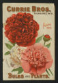 Currie Bros. Bulbs and Plants catalog, Autumn 1903