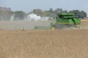 Harvesting soybeans on the Craven farm in Jackson County, Minnesota.