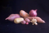 Modified stem plants. potatoes, jerusalem artichoke, sweet potatoes, onion.