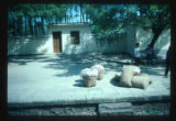 Baskets and bags of vegetables destined to free market by train