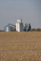 Truman, Minnesota grain elevator and corn fields in Martin County.