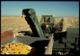 Corn picker.