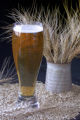 "MnBRITE" barley variety, released 1998