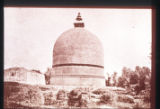 Plant and man slides Lectures 28-30. Buddhist stupa.