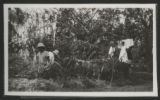 Four unidentified people in a garden at a house