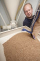 Milling wheat at a small bakery in Maplewood,Minnesota, where breads, muffins, rolls and cookies are baked using Whole grains.