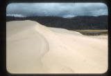 Coos Bay Dunes, near Hauser, Oregon