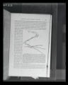 Bones of leg, illustration from Elliot Coues,"Key to North American Birds"