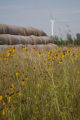 Biomass and wind power, alternative energy research at the University of Minnesota, West Central Research and Outreach Center, Morris.
