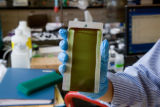 Enzyme engineering and nanotechnology. Research of biofuel biopolymers and specialty chemicals. Development of self-cleaning coatings.