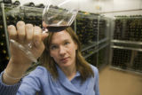 Katie Cook, Enology Project Leader doing sensory evaluation of Minnesota wines at the Horticultural Research Center.