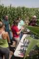 Corn rootworm susceptibility in some lines of BT corn.