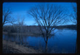 Mississippi River Floodplain at high water at Logan Avenue North and West River Road North