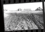Crookston Campus. Copies of Antique Photos