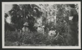 Five unidentified people in a garden at a house