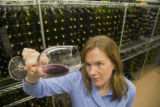 Katie Cook, Enology Project Leader doing sensory evaluation of Minnesota wines at the Horticultural Research Center.