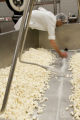 Making cheddar cheese in the Pilot Plant in the Food Science and Nutrition Building, St. Paul campus, University of MInnesota.