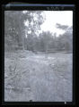 Root River with branch on land