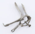 Graves's vaginal speculum Graves's vaginal speculum