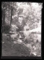 Rice Creek, landscape