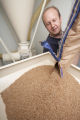 Milling wheat at a small bakery in Maplewood,Minnesota, where breads, muffins, rolls and cookies are baked using Whole grains.
