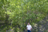 Diomedes S. Zamora, Department of Forest Resources.