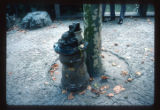 Garden of the humble administrator