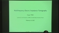 Identification of an Inclusion in Multifrequency Electrical Impedance Tomography