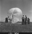 Flight 19 image 784