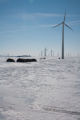 Round hay bales and wind turbines in winter on Buffalo Ridge, Pipestone County, Minnesota.