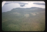 Forest and muskeg between Ketchikan and Juneau, Alaska