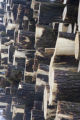 Aspen and other species logged during the winter and piled at landing ready for transport to mill in International Falls.