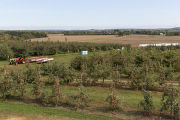 Apple Junction orchard in Washington County, Minnesota.