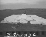 Flight 37 image 1236