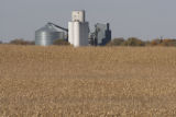 Truman, Minnesota grain elevator and corn fields in Martin County.