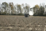 Soybean plots of University of Minnesota soybean researcher Seth Naeve for soybean production research.