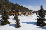 Hansen Tree Farm, horse drawn wagon rides. Christmas trees.