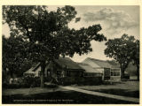 Greenhouse. Minneapolis Campus