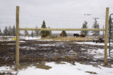 Bovine TB research and control in northern Minnesota, to prevent spread of disease between livestock (primarily cows) and wild deer.