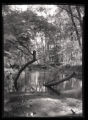 Coon Creek, landscape