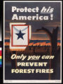 Protect his America! : only you can prevent forest fires