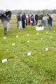 Turf grass research on St. Paul Campus, University of Minnesota.