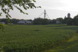 "Brinkman's Dairy Farm", corn fields, July, Stearns County, Minnesota